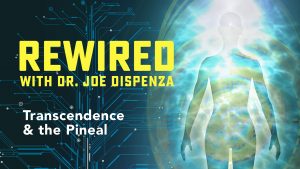 Joe Dispenza - Rewired Episode 4: Survival vs. Creation (2019)