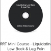 John Iams - PRRT Mini Course - Liquidating Low Back & Leg Pain