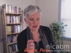 NICABM - Practical Brain Science