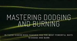 Nick Page Photography - Mastering Dodging and Burnig