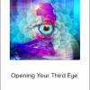 Opening Your Third Eye - Raja Choudhury