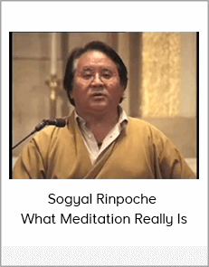 Sogyal Rinpoche - What Meditation Really Is