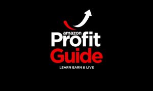 The Amazon Profit Guide