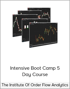 The Institute Of Order Flow Analytics - Intensive Boot Camp 5 Day Course