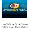 Travis Wilkerson - How To Trade Stock Options - Profiting In Up And Down Markets