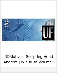 3DMotive – Sculpting Hand Anatomy in ZBrush Volume 1