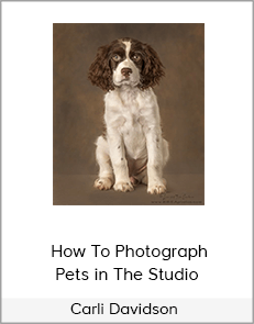 Carli Davidson – How To Photograph Pets in The Studio