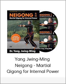 Yang Jwing-Ming - Neigong - Martial Qigong for Internal Power