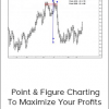 Dr.Gary Dayton - Point & Figure Charting To Maximize Your Profits