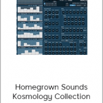 Homegrown Sounds Kosmology Collection KONTAKT (Up)