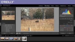 InfiniteSkills – Integrating Lightroom with Photoshop Training Video