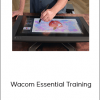 John Derry – Wacom Essential Training