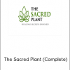 Healing Secrets Exposed – The Sacred Plant (Complete)