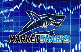 Market Sharks – Premium Forex Training