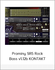 Prominy SR5 Rock Bass v1.12b KONTAKT