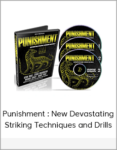 Punishment : New Devastating Striking Techniques and Drills