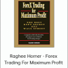 Raghee Horner - Forex Trading For Maximum Profit