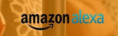 Fernie Acevedo – Amazon Alexa Development