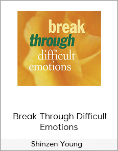 Shinzen Young – Break Through Difficult Emotions