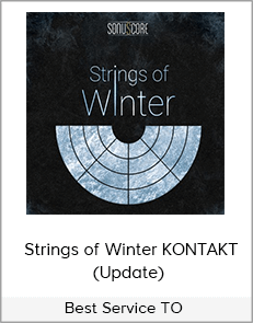 Best Service TO - Strings Of Winter KONTAKT (Update)