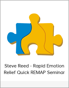 Steve Reed - Rapid Emotion Relief Quick REMAP Seminar