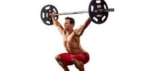 Bodybuilding - Poweriifting-Squat RX