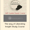 Adyashanti - The way of Liberating Insight Study Course