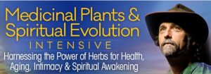 David Crow - Medicinal Plants and Spiritual Evolution Intensive 