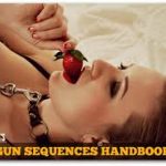 Derek Rake - Shogun Sequences Handbook 2