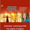 Sandra Ingerman - Shamanic Journeying With The Spirits Of Nature
