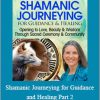 Sandra Ingerman - Shamanic Journeying for Guidance and Healing Part 2