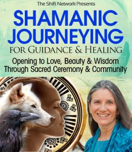 Sandra Ingerman - Shamanic Journeying for Guidance and Healing Part 2