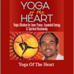 Saul David Raye - Yoga Of The Heart