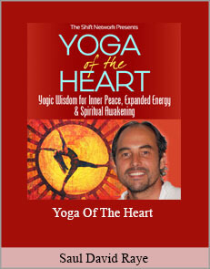 Saul David Raye - Yoga Of The Heart