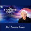 Steven Farmer - The 5 Ancestral Realms