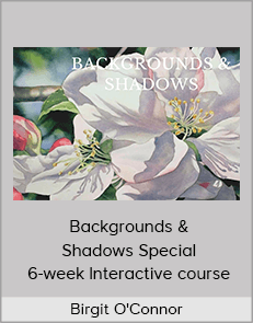 Birgit O'Connor - Backgrounds & Shadows Special 6-week Interactive course
