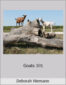 Deborah Niemann - Goats 101