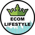 Ecomlifestyle Shopify Dropshipping Course @TheEcomlifestyle