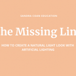 Sandra Coan - The Missing Link (Sandra Coan Workshops 2020)