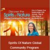 Sandra Ingerman - Spirits Of Nature Global Community Program