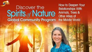 Sandra Ingerman - Spirits Of Nature Global Community Program