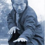 Adam Hsu - Xingyi Five Elements Boxing