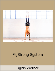 Dylan Werner - FlyStrong System