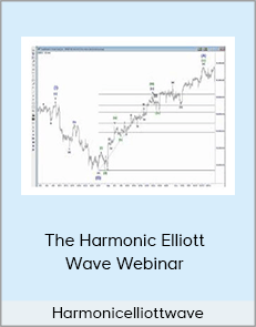 Harmonicelliottwave - The Harmonic Elliott Wave Webinar