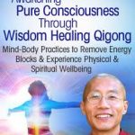 Master Mingtong Gu - Awakening Pure Consciousness Through Wisdom Healing Qigong