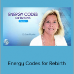 Sue Morter Homepage - Energy Codes for Rebirth