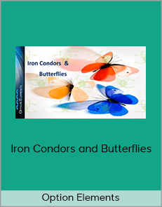 Option Elements - Iron Condors and Butterflies