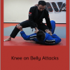 Shawn Williams - Knee on Belly Attacks