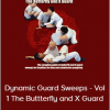 Stephan Kesting - Dynamic Guard Sweeps - Vol 1 The Buttterfly and X Guard