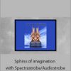 Hypnotica - Sphinx of imagination with Spectrastrobe/Audiostrobe